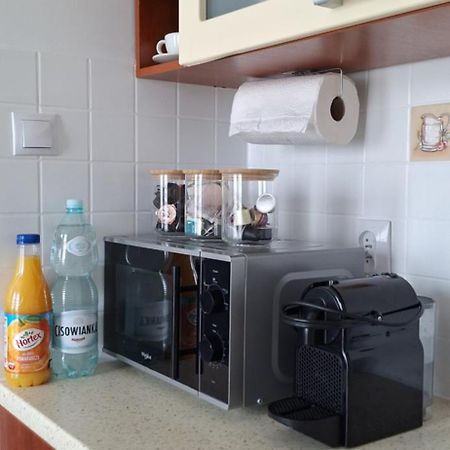 Apartament Flauta, Villa Marea 米兹多洛杰 外观 照片