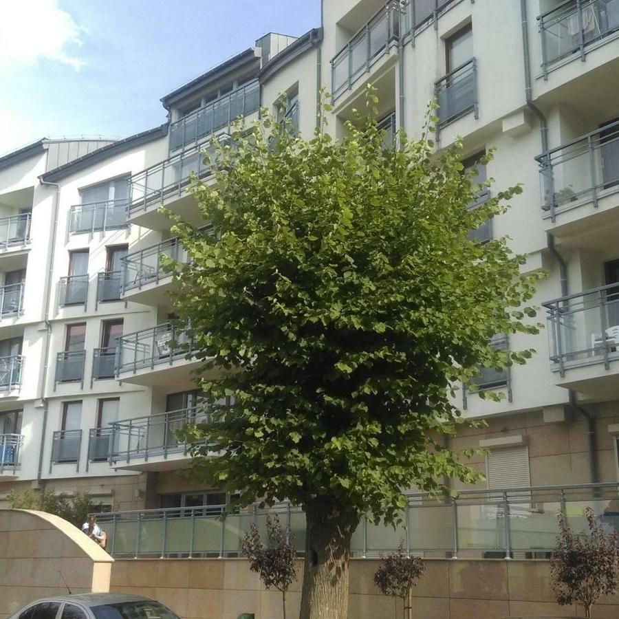Apartament Flauta, Villa Marea 米兹多洛杰 外观 照片